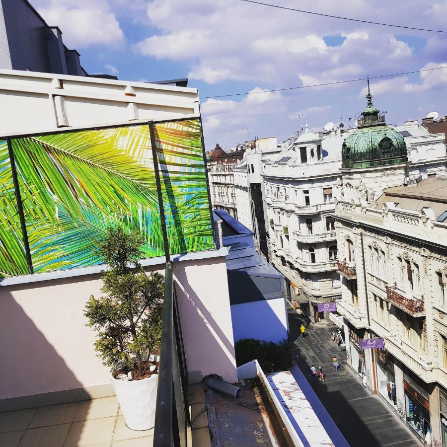 Jolie Daire Belgrad Dış mekan fotoğraf