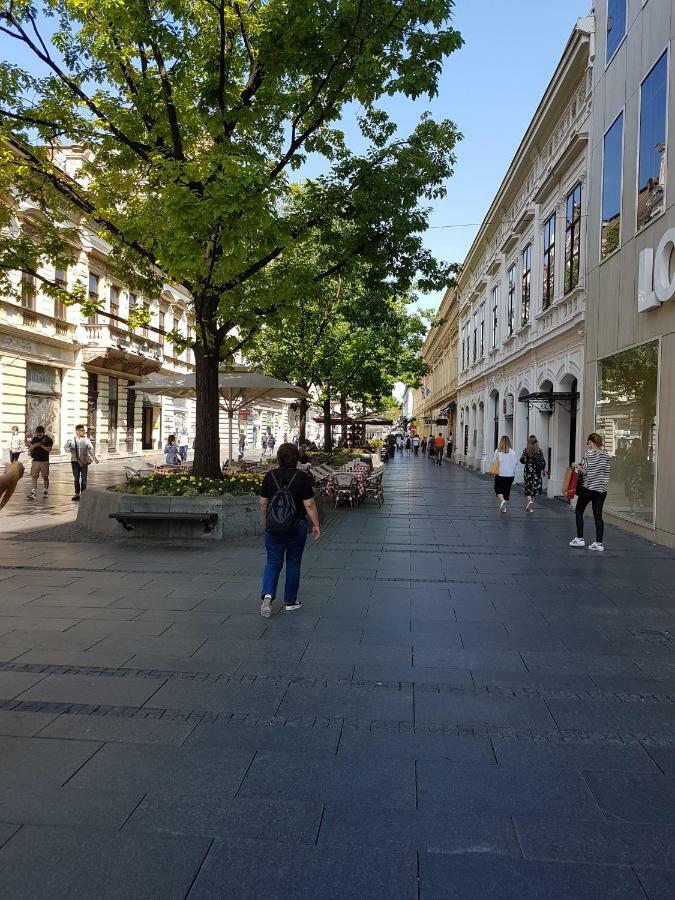Jolie Daire Belgrad Dış mekan fotoğraf